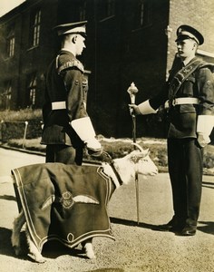 United Kingdom Halton Goat Mascot RAF Apprentices Old Press Photo 1948
