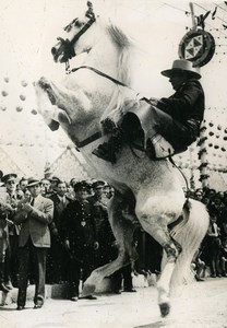 Spain Sevilla WWII April Fair Opening Horse Old Press Photo 1940