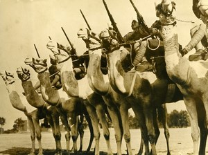 Egypt Military Maneuvers Camel Cavalry Old Photo 1938