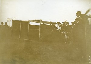 France Paris Greyhound Dog Show at Longchamps Old Photo 1910