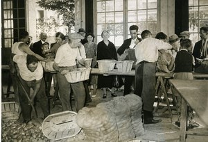 France Neuilly sur Seine Antoine Parmentier Bicentenary Potato Old Photo 1937