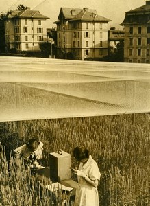 Switzerland Lausanne Grain Cereals Research Wheat Old Photo 1938
