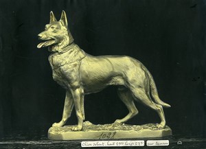 France Paris Art Deco Cadran Workshop Samson Dog Standing Old Photo 1930