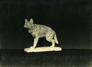 France Paris Art Deco Atelier Cadran création Anonyme Chien Bronze Ancienne Photo 1930