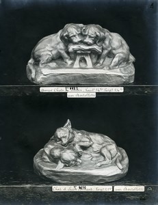 France Paris Art Deco Cadran Workshop Bartelletti Dog & Cat Old Photo 1930