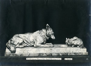 France Paris Art Deco Cadran Workshop Bartelletti Dog & Cats Old Photo 1930