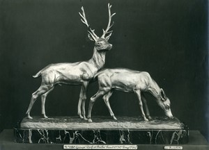 France Paris Art Deco Cadran Workshop Bartelletti Deer & Doe Old Photo 1930