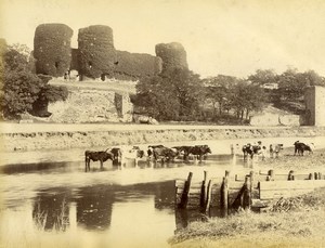 United Kingdom Wales Rhuddlan Castle Cows Countryside Old Photo Bedford 1875