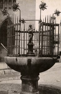 Germany Nurnberg Gänsemännchenbrunnen Fountain Old Cabinet Photo Rommler 1890