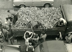 France Paris Artichoke Growers selling to Parisian Housewives Old Photo 1960