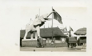 Belgium Brussels World Fair Congo Pavilion Elephant Old Photo RPPC 1935