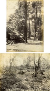 France Barbizon Fontainebleau Forest Two Old Albumen Photos Delaporte 1890