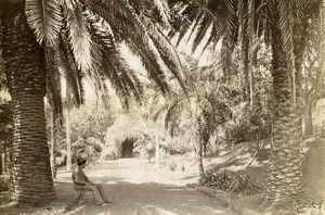 Portugal Azores Sao Miguel Ponta Delgada Count Borges Gardens Photo Raposo 1890