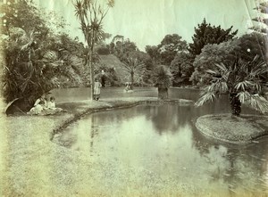 Portugal Azores Sao Miguel Furnas Public Garden Park Old Photo Raposo 1890