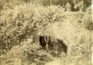 Portugal Azores Sao Miguel Ponta Delgada Count Borges Garden Photo Raposo 1890