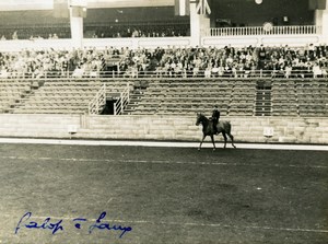 London Olympia Horse Show Dressage Lieutenant Lavergne & Needle Old Photo 1938