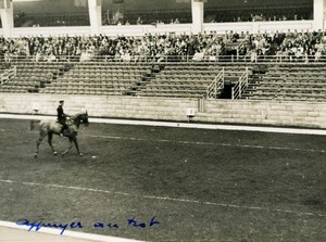 London Olympia Horse Show Dressage Lieutenant Lavergne & Needle Old Photo 1938