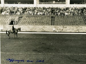 London Olympia Horse Show Dressage Lieutenant Lavergne & Needle Old Photo 1938