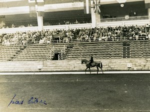 London Olympia Horse Show Dressage Lieutenant Lavergne & Needle Old Photo 1938