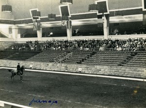 London Olympia Horse Show Dressage Lieutenant Lavergne & Needle Old Photo 1938