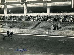 London Olympia Horse Show Dressage Lieutenant Lavergne & Needle Old Photo 1938