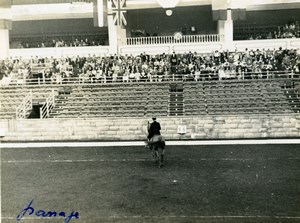 London Olympia Horse Show Dressage Lieutenant Lavergne & Needle Old Photo 1938