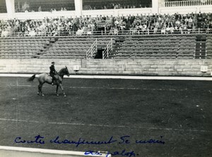 London Olympia Horse Show Dressage Lieutenant Lavergne & Needle Old Photo 1938