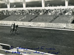 London Olympia Horse Show Dressage Lieutenant Lavergne & Needle Old Photo 1938