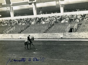 London Olympia Horse Show Dressage Lieutenant Lavergne & Needle Old Photo 1938