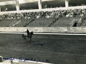 London Olympia Horse Show Dressage Lieutenant Lavergne & Needle Old Photo 1938