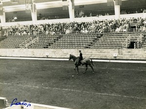 London Olympia Horse Show Dressage Lieutenant Lavergne & Needle Old Photo 1938