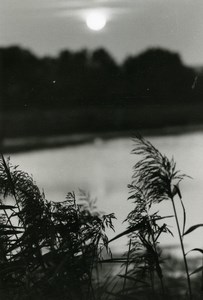 France Sunset Landscape Lake Cane Grass Nature Amateur Photography 1970's