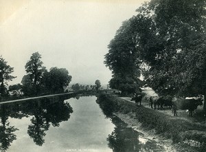 United Kingdom Exeter on the Canal Old Photo Print 1900