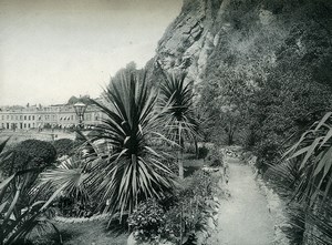 United Kingdom Teignmouth Park Garden Promenade Old Photo Print 1900