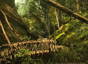 United Kingdom Isle of Wight Shanklin Chine Bridge Old Photo Photochrom 1900