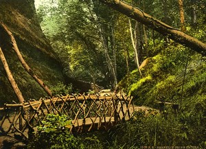 United Kingdom Isle of Wight Shanklin Chine Bridge Old Photo Photochrom 1900