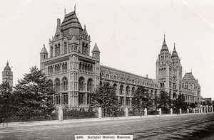 United Kingdom London Londres Natural History Museum Old Photo 1900