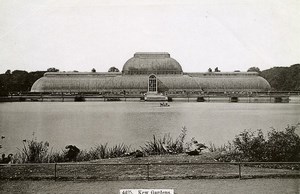 United Kingdom London Londres Kew Gardens Old Photo 1900