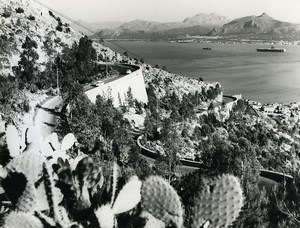 Italy Bay of Palermo Cactus Old Photo 1961