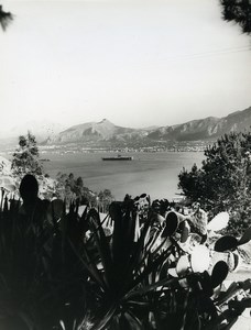 Italy Bay of Palermo Panorama Cactus Old Photo 1961