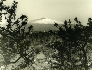 Italy Volcano Etna Panorama Old Photo 1961