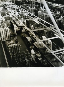 Japan Tokyo? Factory Interior Old Photo 1960