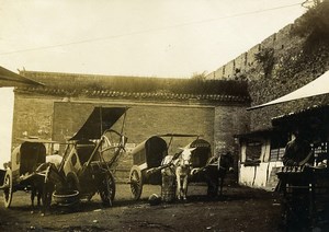 Chine Shanhaiguan une rue animée Carrioles Chevaux ancienne Photo 1906