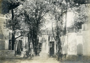 Chine Pékin Beijing Steles dans la cour du collège impérial ancienne Photo 1906