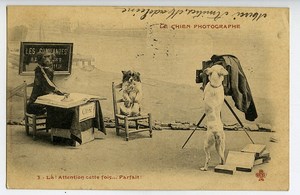 France Carte Postale Fantaisie le Chien Photographe 1900