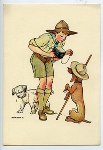 Hongrie Carte Postale Scout Photographe et Chiens de Marton 1930