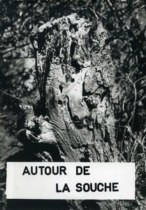 France study around a tree stump Abstract Study Photomontage Deplechin 1975 #1