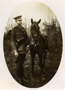 France Montreuil Hucqueliers WWI English Soldier & Horse Old Photo 1917