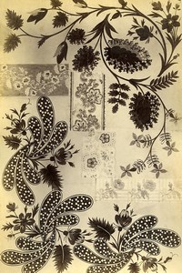 French Albumen Photograph of Antique Fabric Armand Guerinet circa 1880 #4