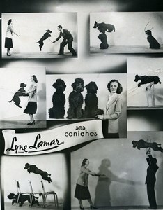 France Music Hall Circus Acrobat Lyne Lamar & Poodle Dogs Old Photo 1950